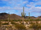 photo thumbnail #1