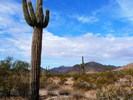 photo thumbnail #10