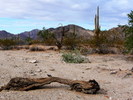 photo thumbnail #11
