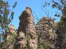 photo thumbnail #5