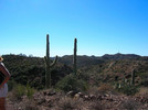 photo thumbnail #4