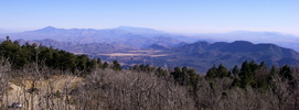 photo thumbnail #4