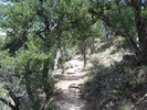 photo thumbnail #5