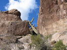 photo thumbnail #2