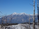 photo thumbnail #2