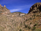 photo thumbnail #10