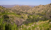 photo thumbnail #8