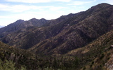 photo thumbnail #11