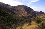photo thumbnail #13