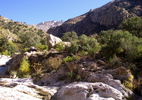 photo thumbnail #15