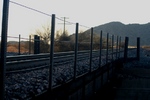 photo thumbnail #3