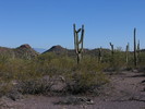 photo thumbnail #1