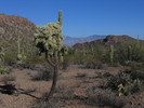photo thumbnail #2