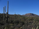 photo thumbnail #5