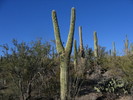 photo thumbnail #6