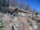 photo thumbnail #6