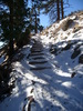 photo thumbnail #8