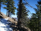 photo thumbnail #14