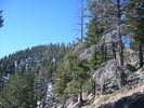 photo thumbnail #15