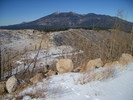 recent photo
