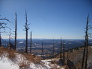 recent photo