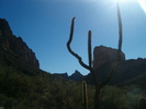 photo thumbnail #7