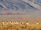 photo thumbnail #12