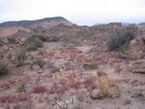 photo thumbnail #5