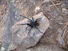 photo thumbnail #6