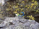 photo thumbnail #3