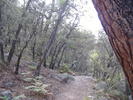 photo thumbnail #4