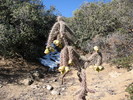 photo thumbnail #1