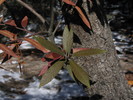 photo thumbnail #7
