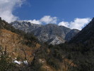 photo thumbnail #9