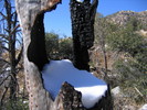 photo thumbnail #10