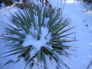 photo thumbnail #12