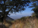 photo thumbnail #13