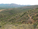 photo thumbnail #7