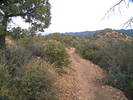 photo thumbnail #8