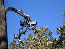 photo thumbnail #7