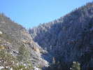 photo thumbnail #10