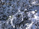 photo thumbnail #14