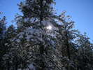 photo thumbnail #15