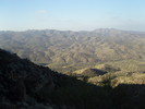 recent photo