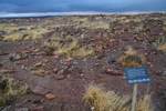 photo thumbnail #9