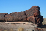 photo thumbnail #3