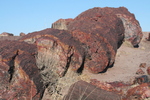 photo thumbnail #5
