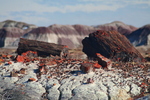 photo thumbnail #7