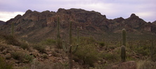photo thumbnail #2