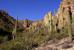 photo thumbnail #12